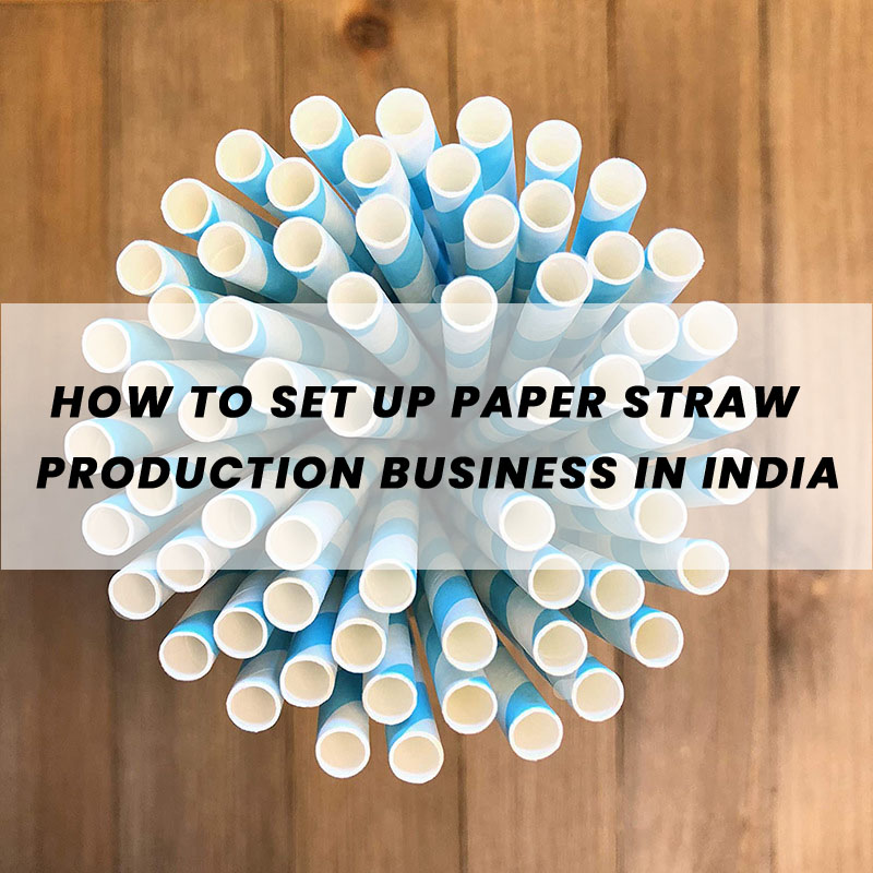 A Beginner's Guide to Starting a Paper Straw Production Business in India